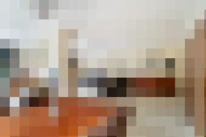 Ruysdael 80 Monster thumbnail 14