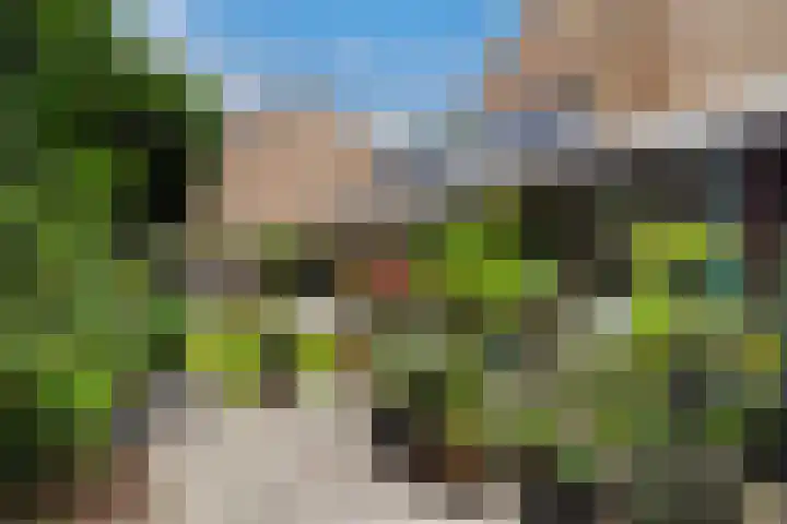 Ruysdael 80 Monster thumbnail 17