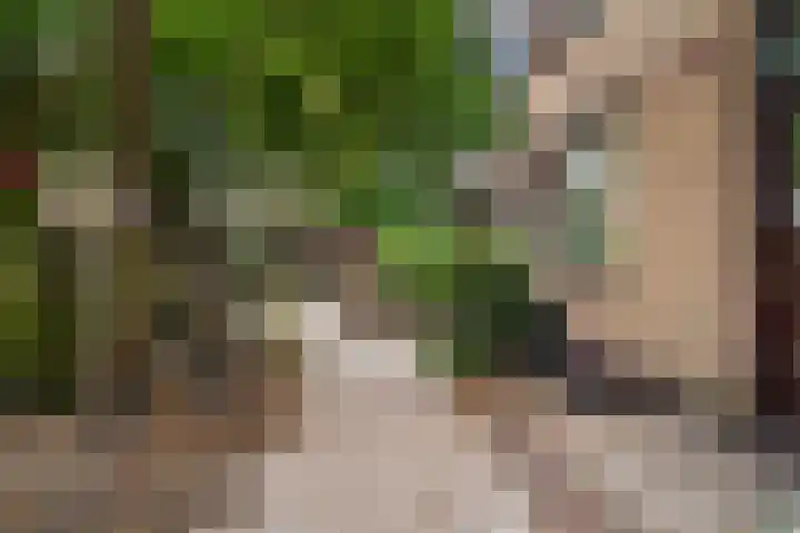 Ruysdael 80 Monster thumbnail 19
