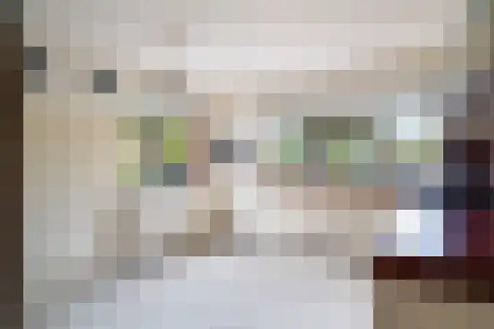 Ruysdael 80 Monster thumbnail 21