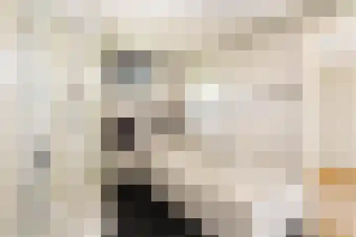 Ruysdael 80 Monster thumbnail 32