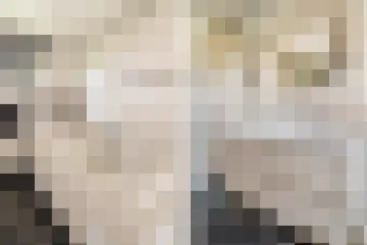 Ruysdael 80 Monster thumbnail 35