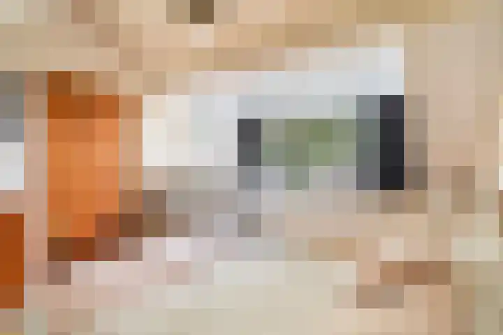 Ruysdael 80 Monster thumbnail 49