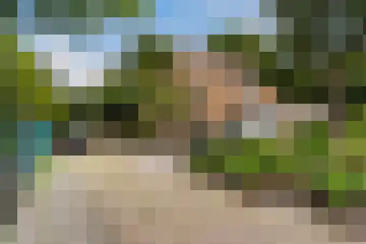 Ruysdael 80 Monster thumbnail 52