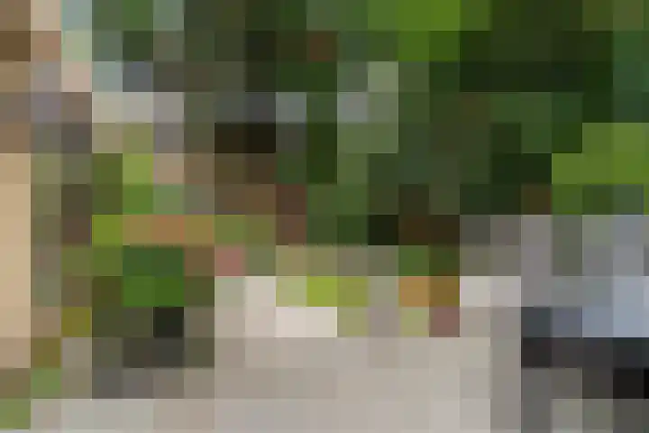 Ruysdael 80 Monster thumbnail 6
