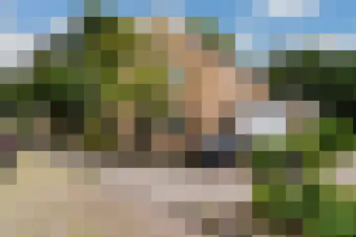 Ruysdael 80 Monster thumbnail 64