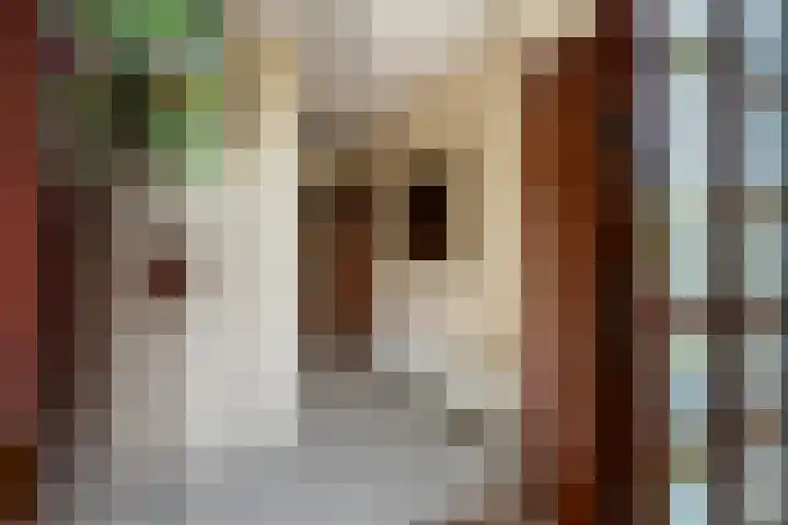 Ruysdael 80 Monster thumbnail 8