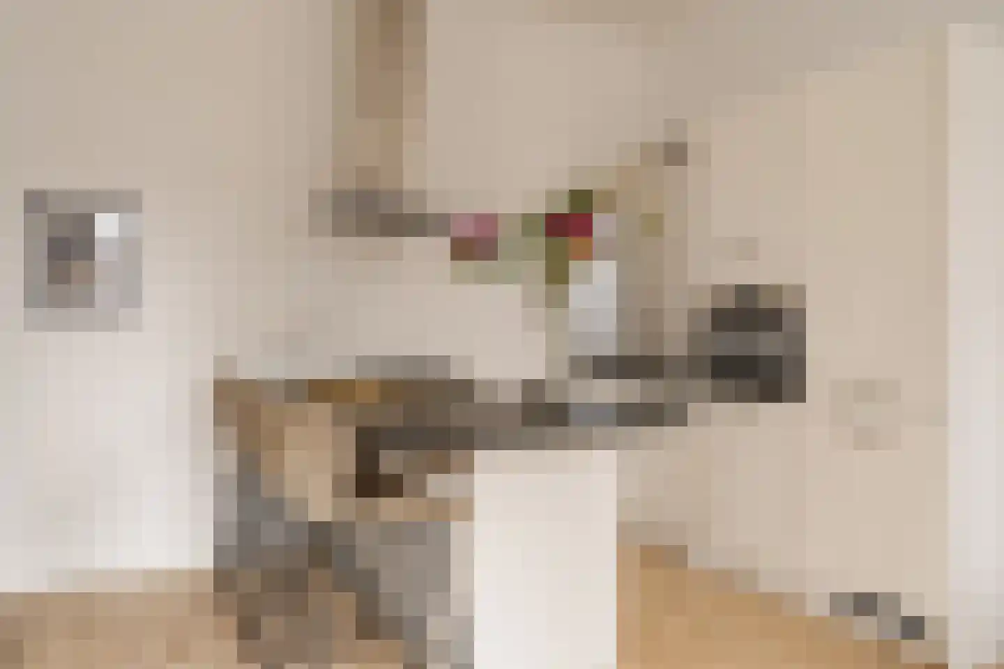 Ruysdaelkade 207 H Amsterdam thumbnail 4