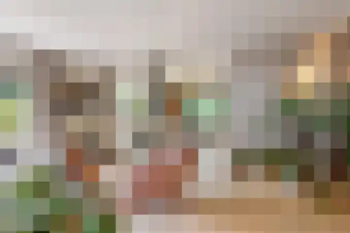 Ruysdaellaan 2 Bilthoven thumbnail 15