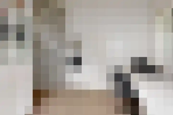 Ruysdaellaan 2 Bilthoven thumbnail 26