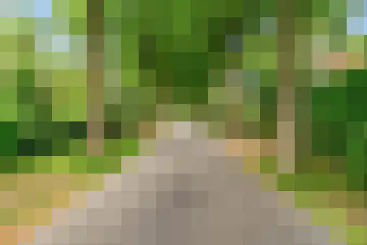 Ruysdaellaan 2 Bilthoven thumbnail 38