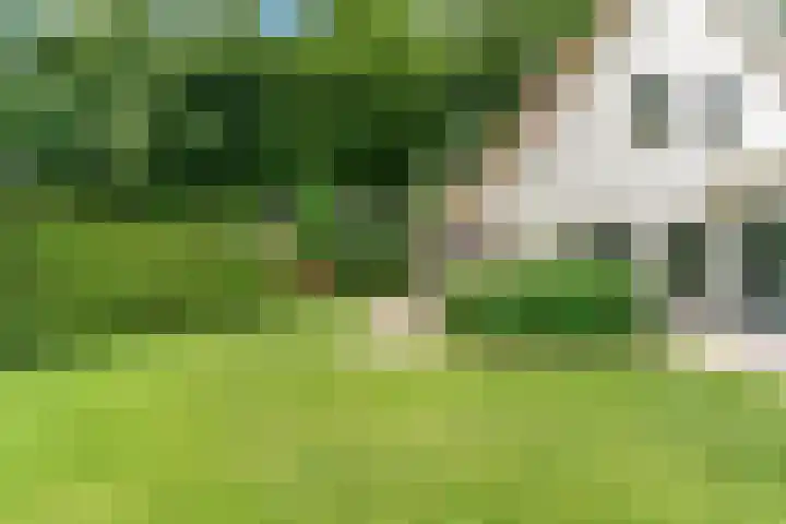Ruysdaellaan 2 Bilthoven thumbnail 45