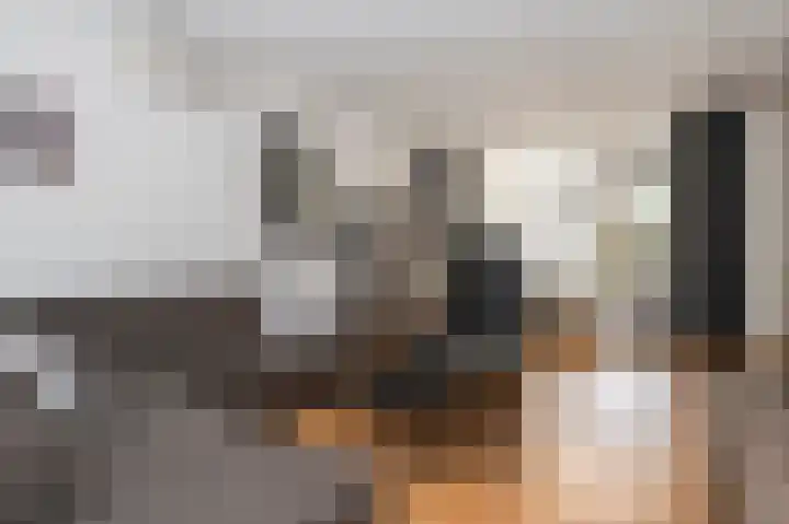 Ruysdaellaan 21 Geleen thumbnail 13