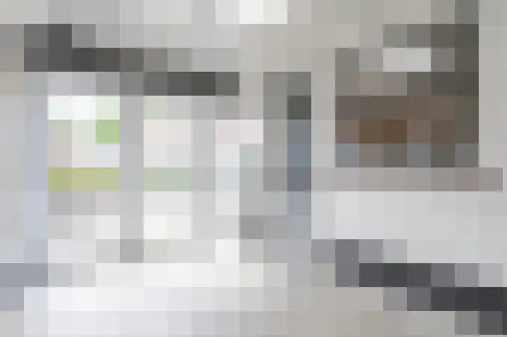 Ruysdaellaan 21 Geleen thumbnail 19