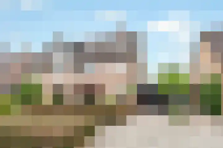 Ruysdaellaan 24 Nijkerk