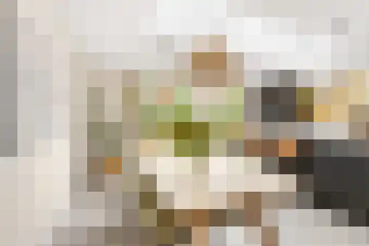 Ruysdaellaan 24 Nijkerk thumbnail 11