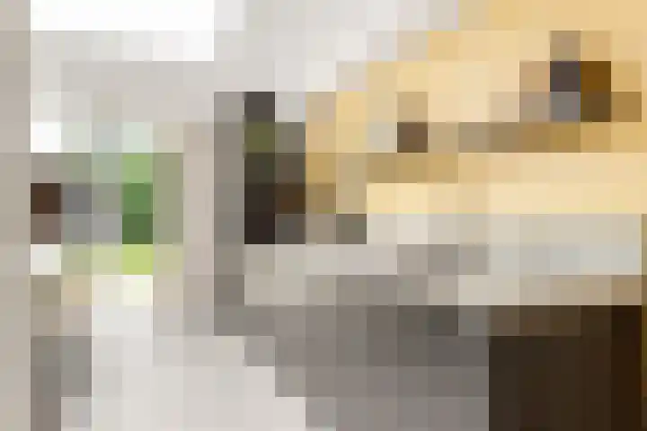 Ruysdaellaan 24 Nijkerk thumbnail 17