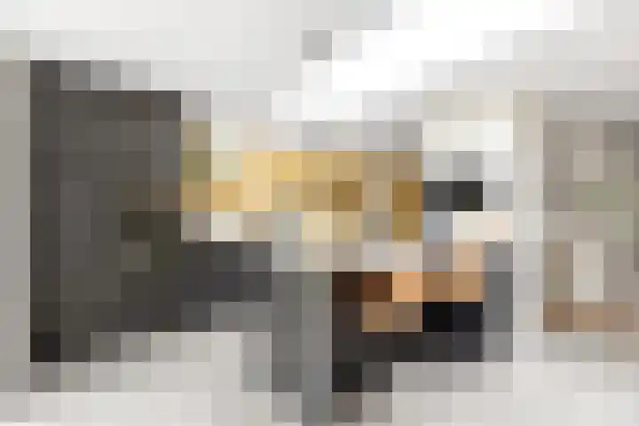 Ruysdaellaan 24 Nijkerk thumbnail 18