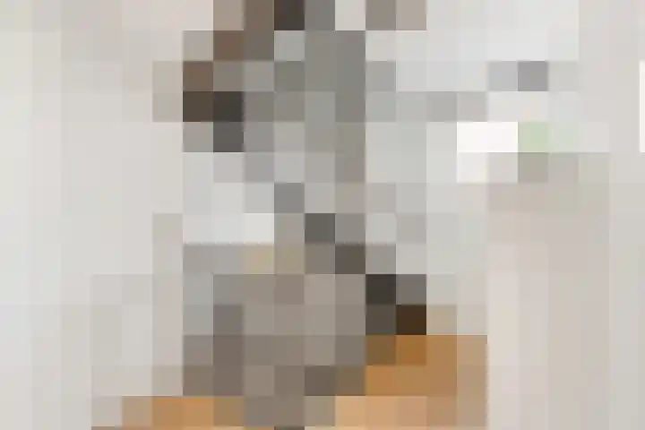 Ruysdaellaan 24 Nijkerk thumbnail 23