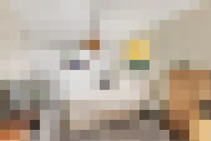 Ruysdaellaan 24 Nijkerk thumbnail 36