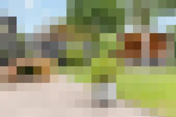 Ruysdaellaan 24 Nijkerk thumbnail 39