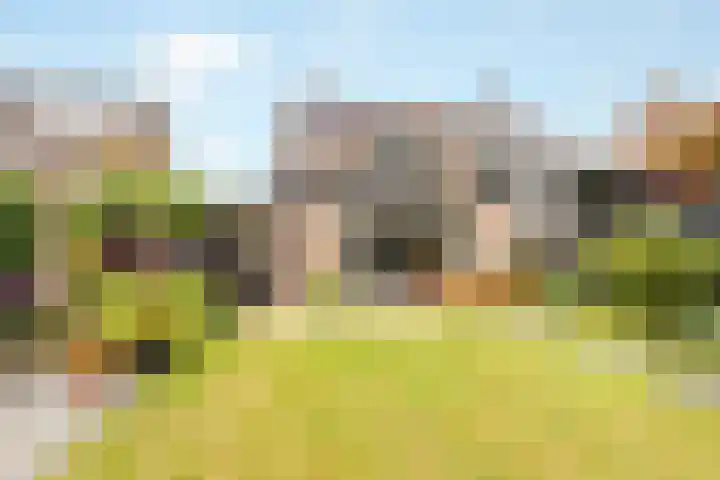 Ruysdaellaan 24 Nijkerk thumbnail 4
