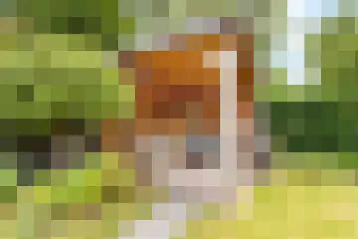 Ruysdaellaan 24 Nijkerk thumbnail 43
