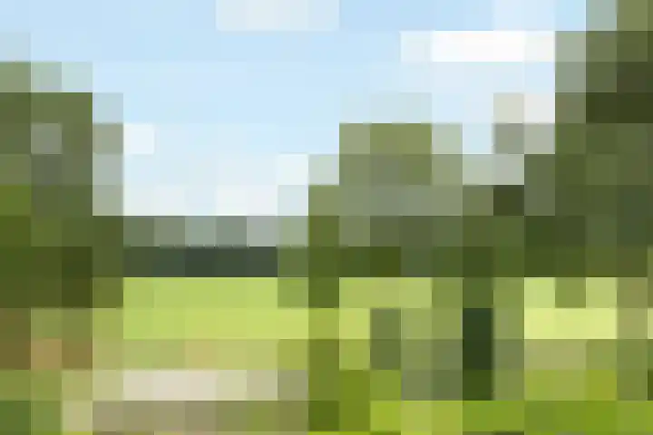 Ruysdaellaan 24 Nijkerk thumbnail 46