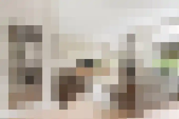 Ruysdaellaan 24 Nijkerk thumbnail 6