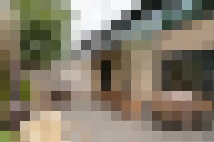 Ruysdaellaan 3 Muiderberg thumbnail 5