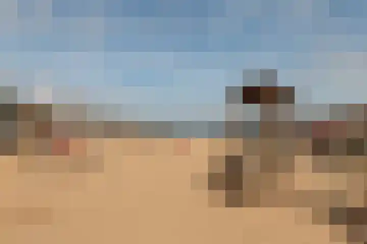 Ruysdaellaan 3 Muiderberg thumbnail 59