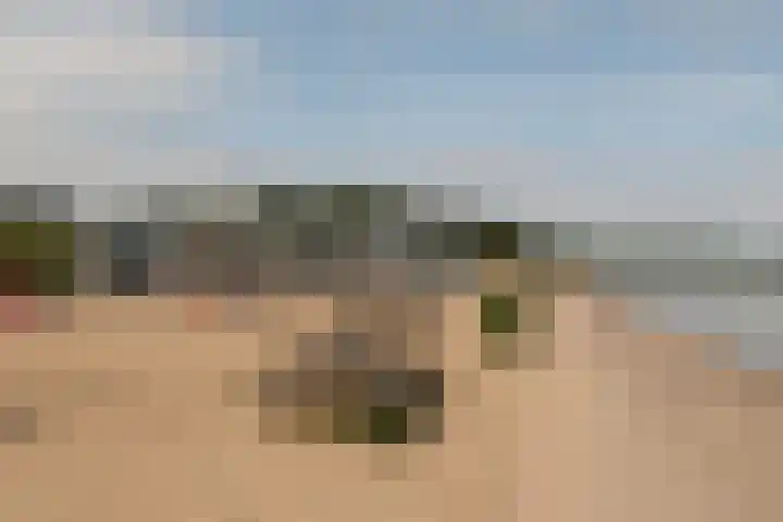 Ruysdaellaan 3 Muiderberg thumbnail 61