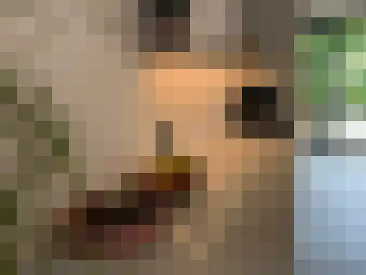 Ruysdaellaan 5 Muiderberg thumbnail 12