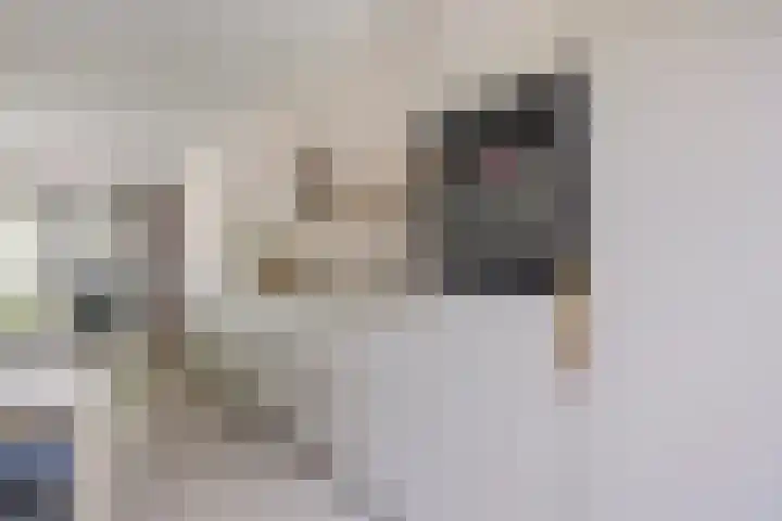 Ruysdaellaan 5 Muiderberg thumbnail 17
