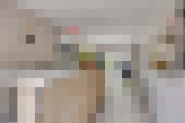Ruysdaellaan 5 Muiderberg thumbnail 19