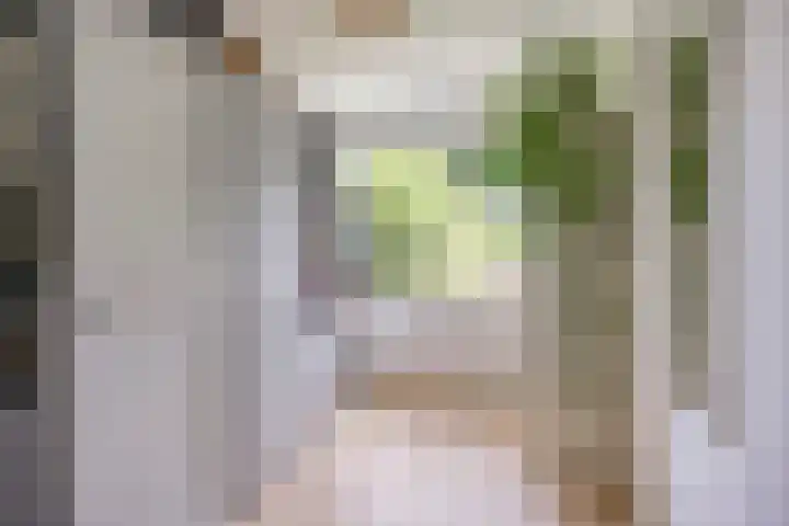 Ruysdaellaan 5 Muiderberg thumbnail 24