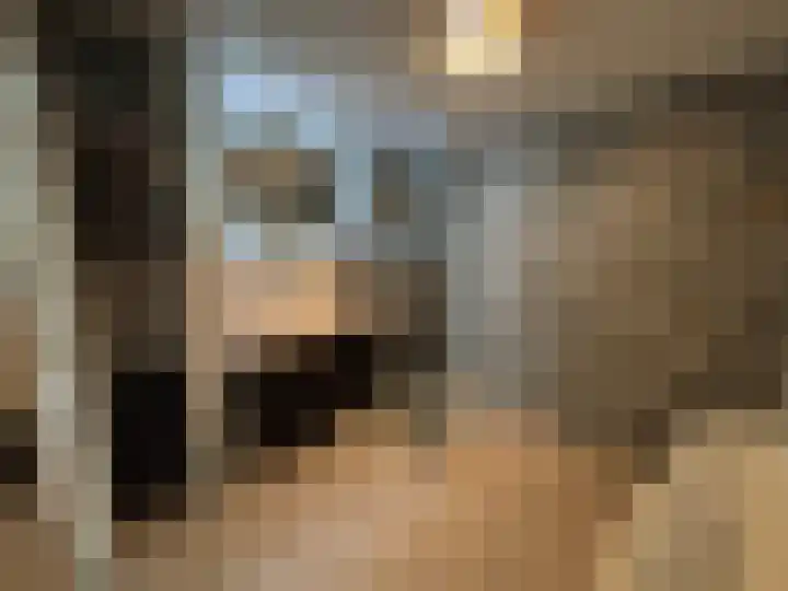 Ruysdaellaan 5 Muiderberg thumbnail 27