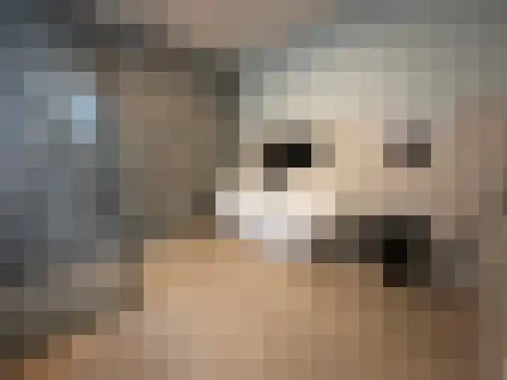 Ruysdaellaan 5 Muiderberg thumbnail 28