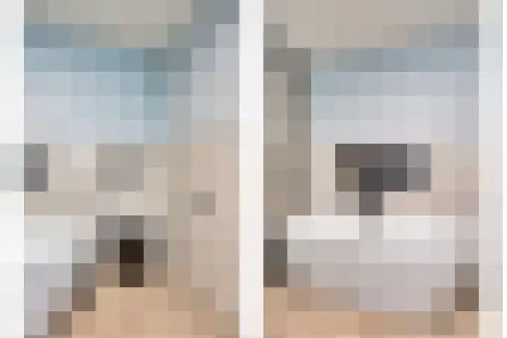 Ruysdaellaan 5 Muiderberg thumbnail 30