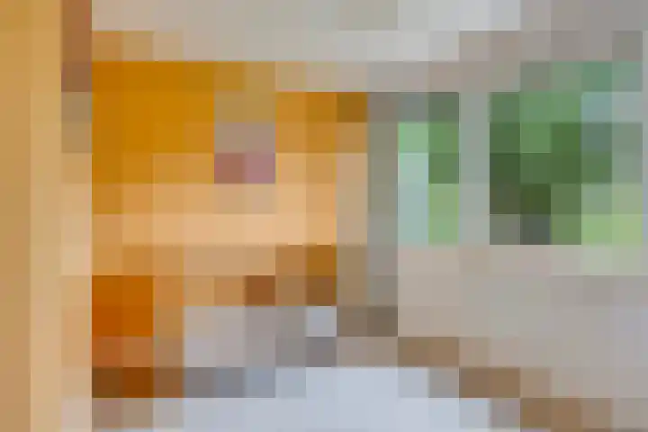 Ruysdaellaan 5 Muiderberg thumbnail 32