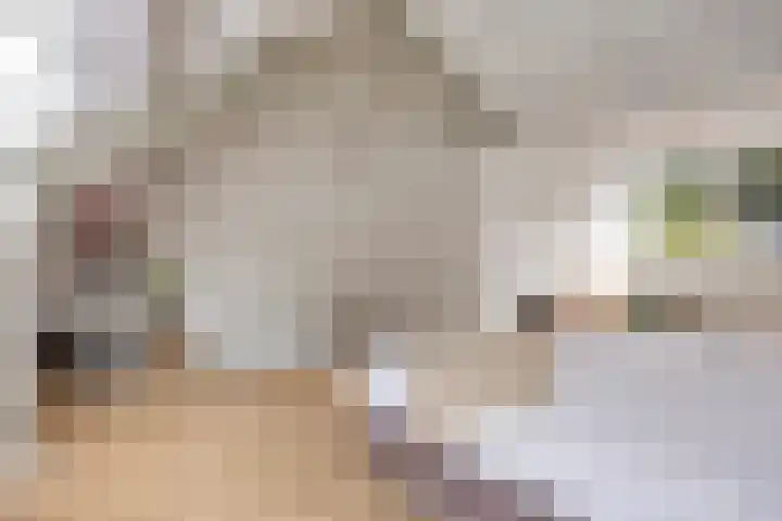 Ruysdaellaan 5 Muiderberg thumbnail 37