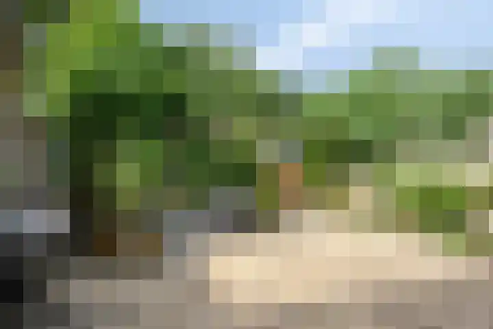 Ruysdaellaan 5 Muiderberg thumbnail 43
