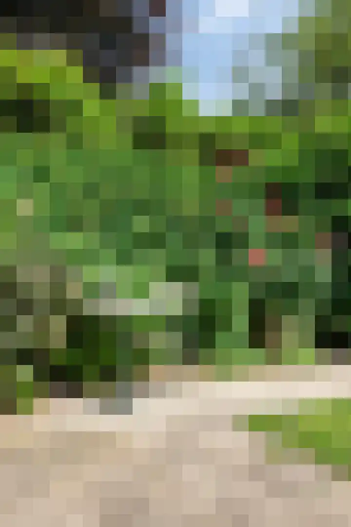 Ruysdaellaan 5 Muiderberg thumbnail 44
