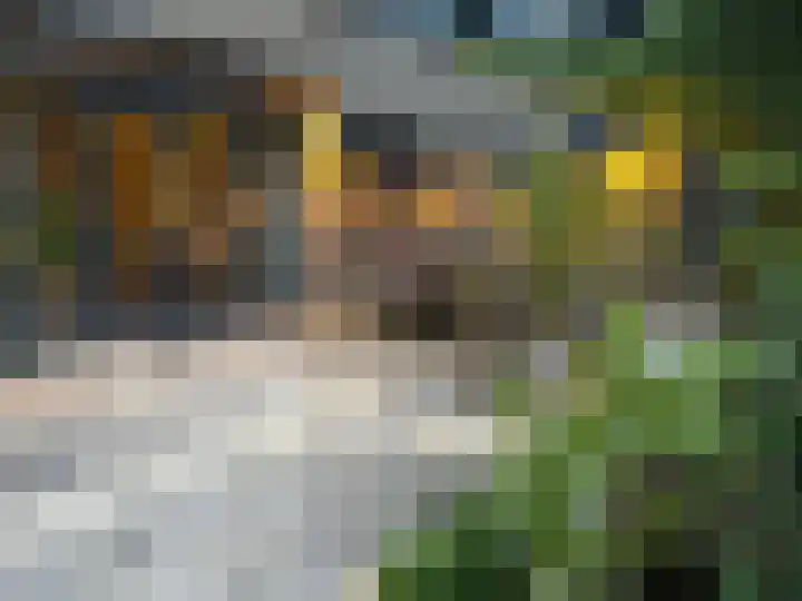 Ruysdaellaan 5 Muiderberg thumbnail 45