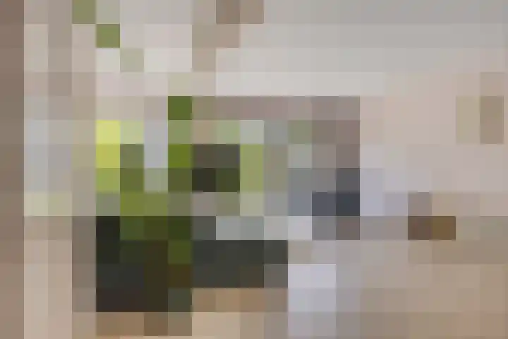 Ruysdaellaan 5 Muiderberg thumbnail 5