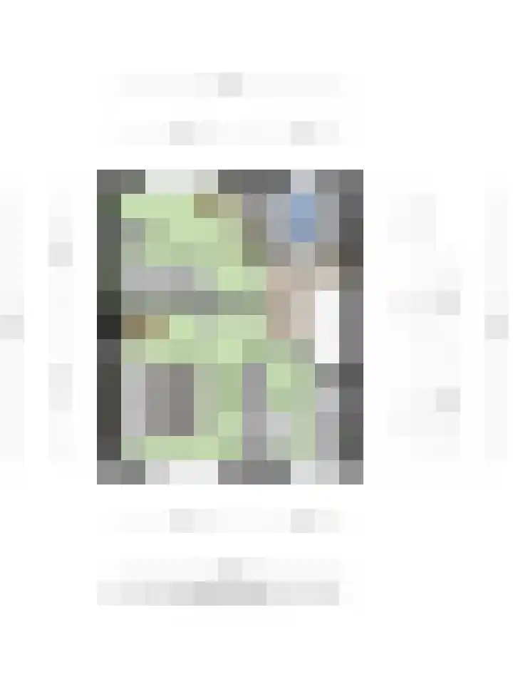 Ruysdaelstraat 39 Deventer thumbnail 33