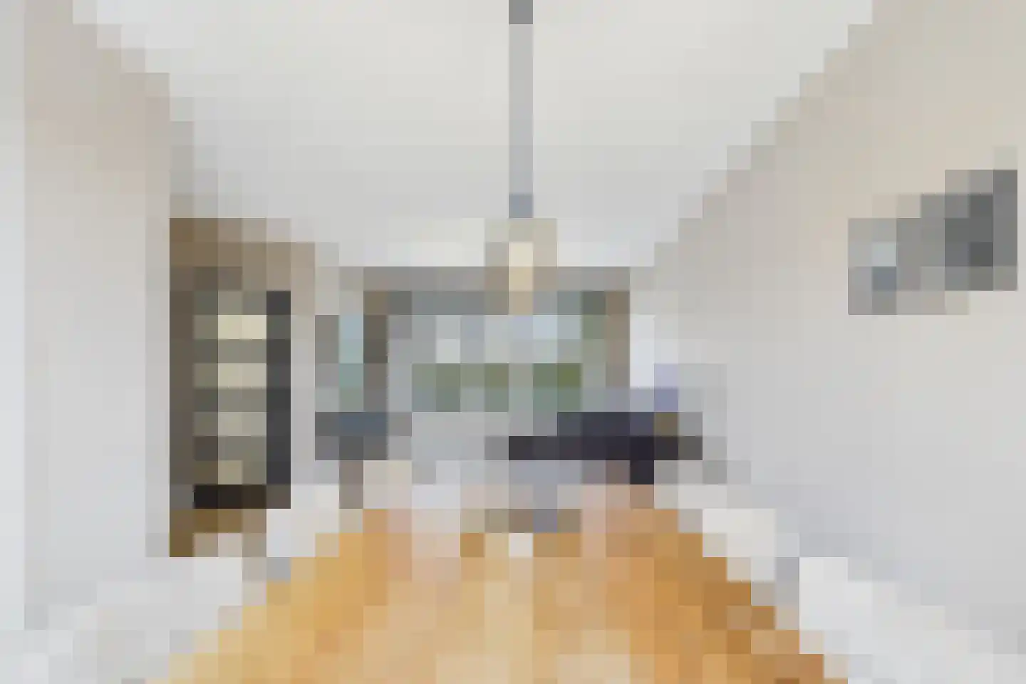 Ruysdaelstraat 9 Clinge thumbnail 13