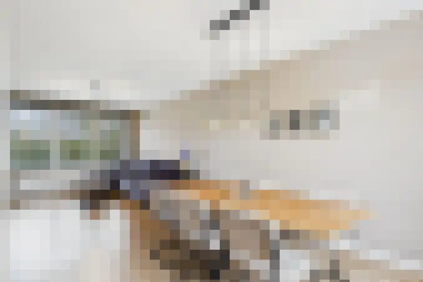 Ruysdaelstraat 9 Clinge thumbnail 14