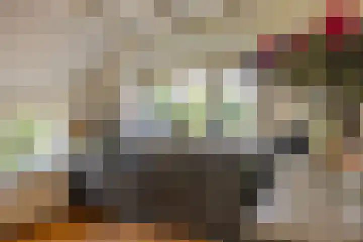 Rykswei 14 Kootstertille thumbnail 16