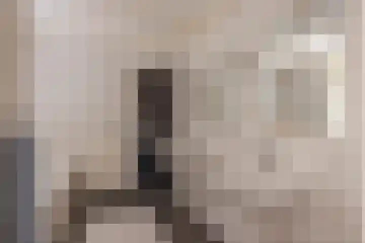 Rykswei 14 Kootstertille thumbnail 23